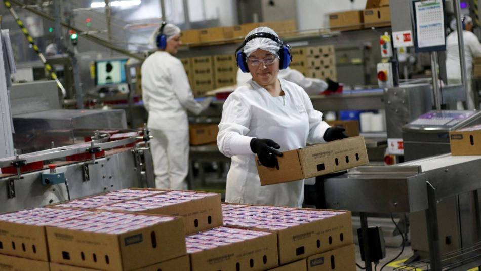 Banco Central atribuye deterioro del empleo a mayores costos laborales y cambios productivos