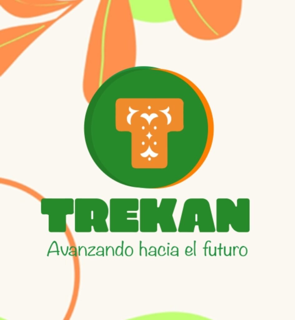 $6 mil millones en convenios: reportaje de BioBioChile revela explosivo aumento de asignaciones del Gobierno a ONG Trekan